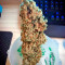 Critical + (Dinafem Seeds) Cannabis-Samen