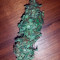 Auto Daiquiri Lime strain