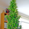 Wipeout Express Auto (Heavyweight Seeds) Cannabis-Samen