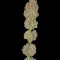 Serious Kush (Serious Seeds) Cannabis-Samen