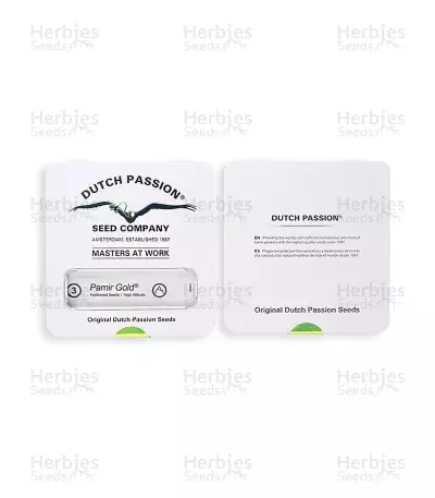 Pamir Gold (Dutch Passion) Cannabis-Samen