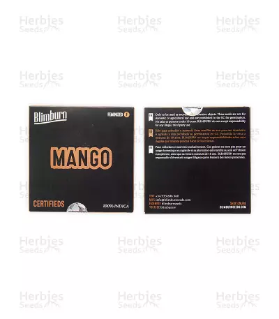 Mango (BlimBurn Seeds) Cannabis-Samen