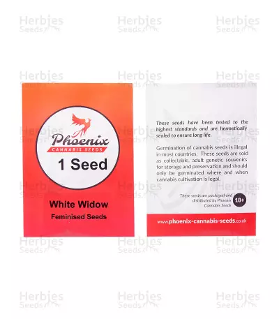 White Widow (Phoenix Seeds) Cannabis-Samen