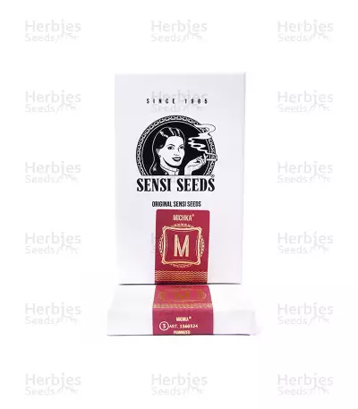 Michka (Sensi Seeds) Cannabis-Samen