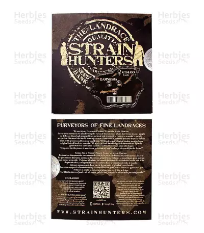 Damnesia (Strain Hunters)