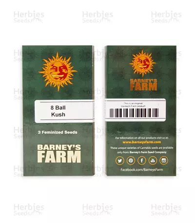 8 Ball Kush (Barney's Farm) Cannabis-Samen