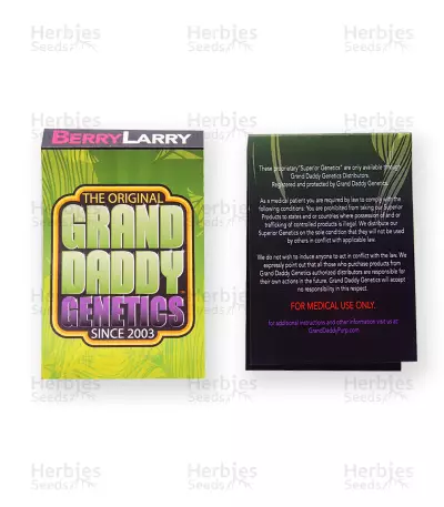 Berry Larry regular (Grand Daddy Purp) Cannabis-Samen