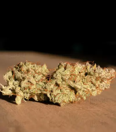 Auto Banana Blaze (Dutch Passion) Cannabis-Samen