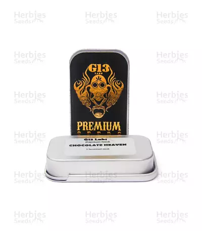 Chocolate Heaven (G13 Labs) Cannabis-Samen