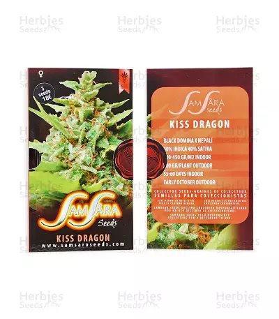 Kiss Dragon (Samsara Seeds) Cannabis-Samen