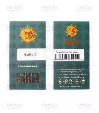 Gorilla Z feminisierte Samen (Barney's Farm)