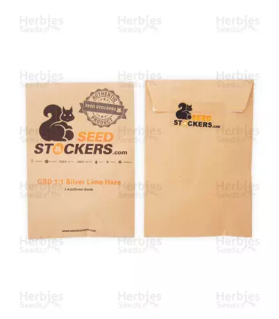 CBD 1:1 Silver Lime Haze Autoflower (Seedstockers)