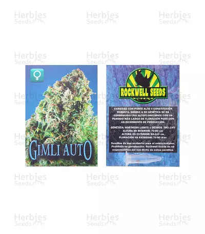 Gimli Auto (Rockwell Seeds) Cannabis-Samen