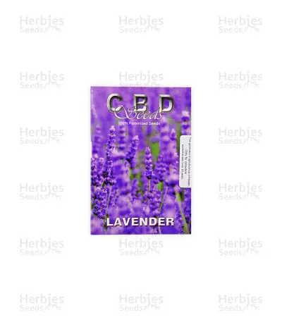 Lavender (CBD Seeds) Cannabis-Samen