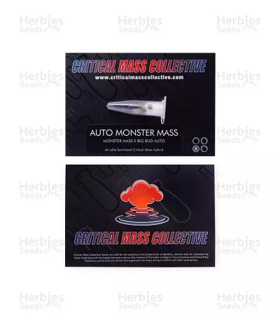 Auto Monster Mass (Critical Mass Collective Seeds) Cannabis-Samen