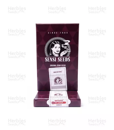 Jamaican Pearl strain seeds