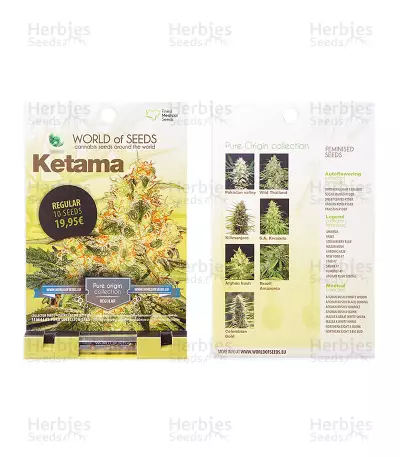 Ketama (World of Seeds) Cannabis-Samen