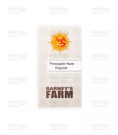 Pineapple Haze Regular (Barney's Farm) Cannabis-Samen