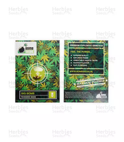 Big Bomb (Bomb Seeds) Cannabis-Samen