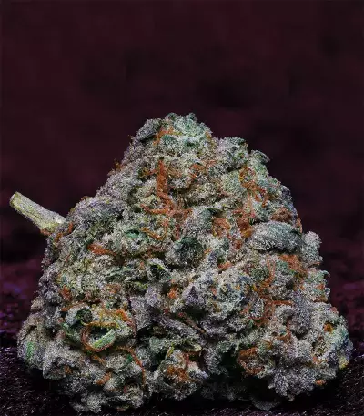 Fire OG Kush (Big Head Seeds) Cannabis-Samen