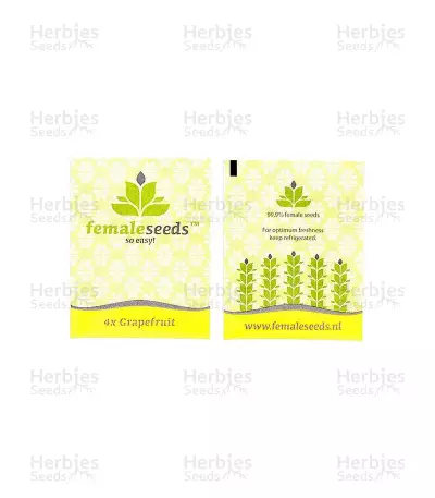 Grapefruit (Female Seeds) Cannabis-Samen