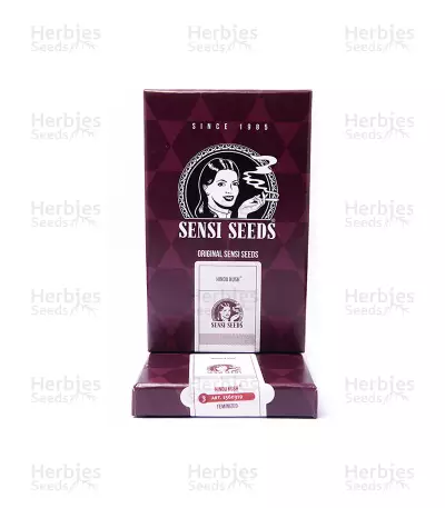 Hindu Kush (Sensi Seeds) Cannabis-Samen