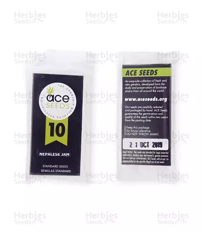 Nepal Jam regular (Ace Seeds) Cannabis-Samen
