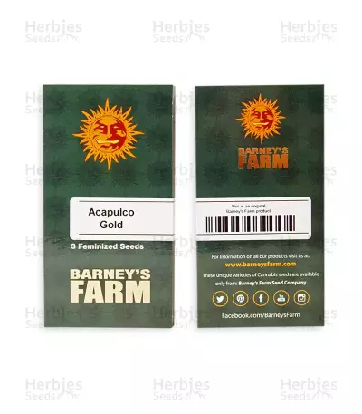 Acapulco Gold feminisiertes Saatgut (Barney's Farm)