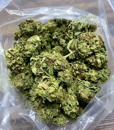 Auto Northern Lights XXL (00 Seeds)
