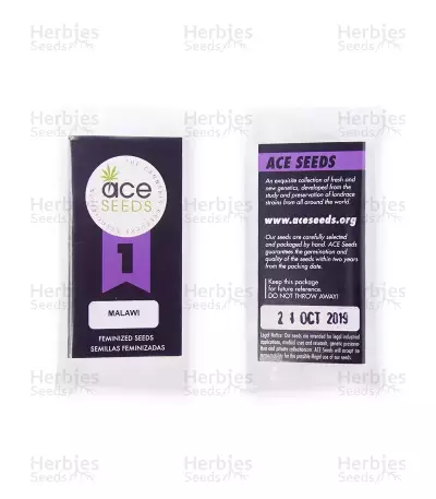 Malawi (Ace Seeds) Cannabis-Samen