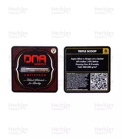 Triple Scoop (DNA Genetics) Cannabis-Samen