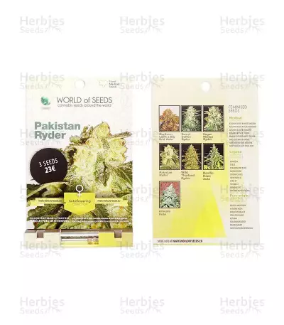 Pakistan Ryder Auto (World of Seeds) Cannabis-Samen