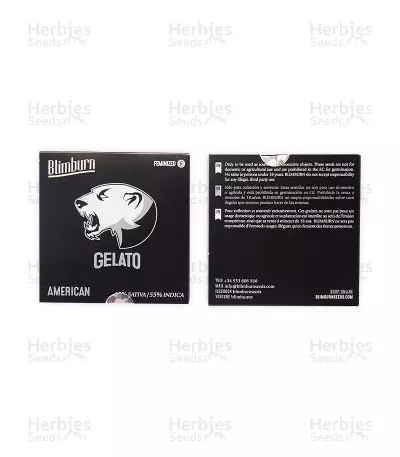 Gelato (BlimBurn Seeds) Cannabis-Samen