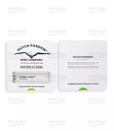 Ortega Indica (Dutch Passion) Cannabis-Samen