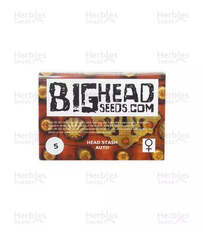 Head Stash Auto (Big Head Seeds) Cannabis-Samen