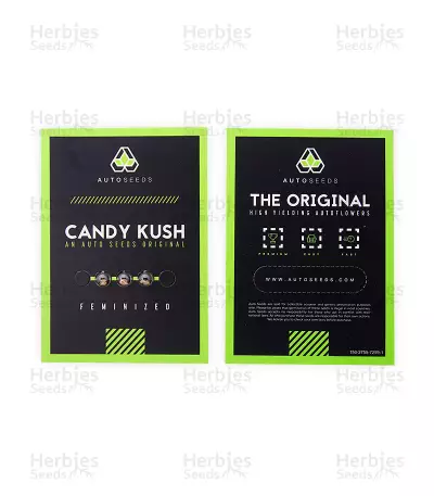 Candy Kush Auto (Auto Seeds) Cannabis-Samen