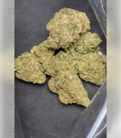 Hella Jelly (Humboldt Seed Company)