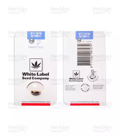 White Widow Auto (White Label) Cannabis-Samen