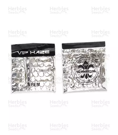 VIP Haze (VIP seeds) Cannabis-Samen