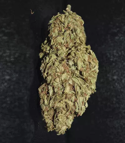 Original Auto AK (Fast Buds) Cannabis-Samen