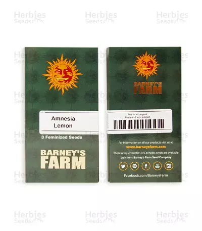 Amnesia Lemon (Barney's Farm) Cannabis-Samen