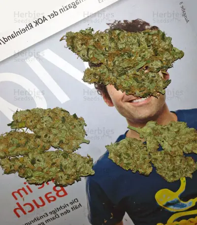 Skywalker Kush (Reserva Privada) Cannabis-Samen
