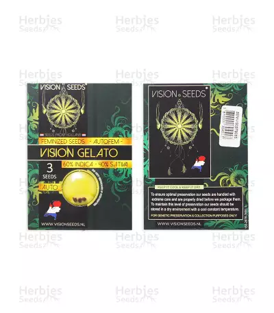 Vision Gelato Auto (Vision Seeds) Cannabis-Samen