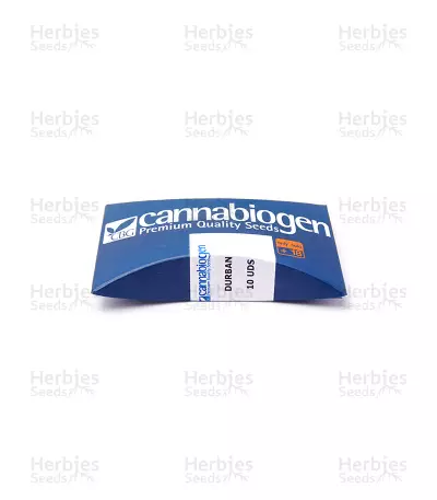 Durban Regular (CannaBioGen) Cannabis-Samen