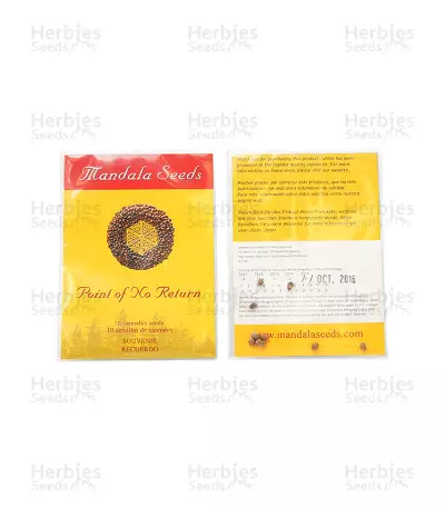 Point of No Return regular (Mandala Seeds) Cannabis-Samen