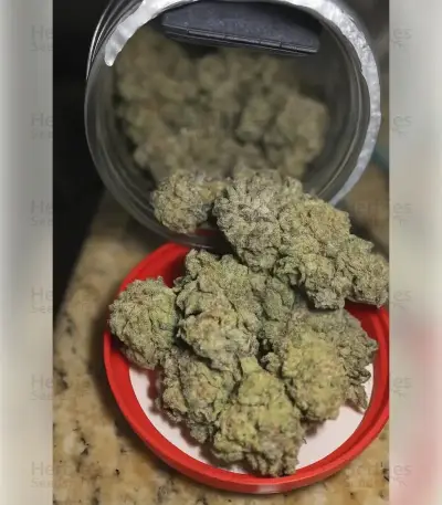 Granddaddy Purple (Royal Queen Seeds)