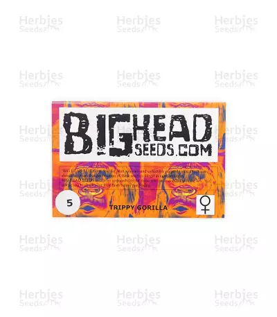 Trippy Gorilla (Big Head Seeds) Cannabis-Samen