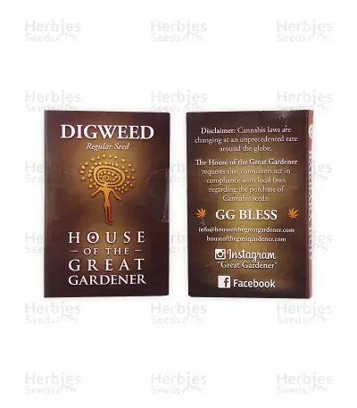 Digweed regular (House of the Great Gardener seeds) Cannabis-Samen