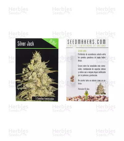 Silver Jack (Seedmakers Seeds) Cannabis-Samen