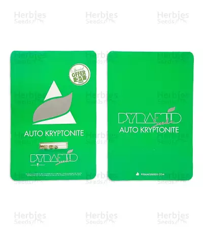 Auto Kryptonite (Pyramid Seeds) Cannabis-Samen